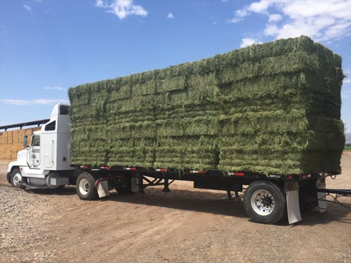 Bales Hay Farm & Ranch Feed Store Feed Dealers Buckeye, AZ